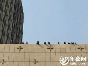 济南楼顶爆料案件最新,惊曝高空惊魂，真相即将揭晓